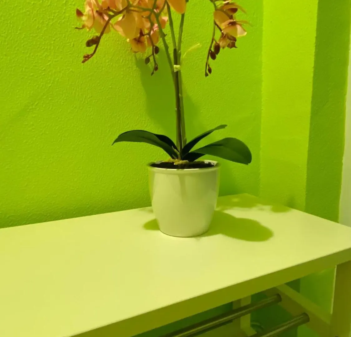 Daire Gergana_Apartament Burgaz